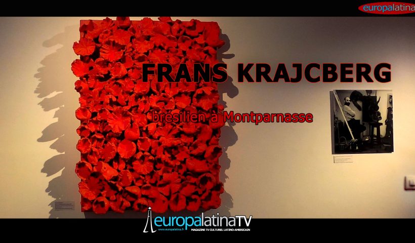 Frans Krajcberg un brésilien à Montparnasse