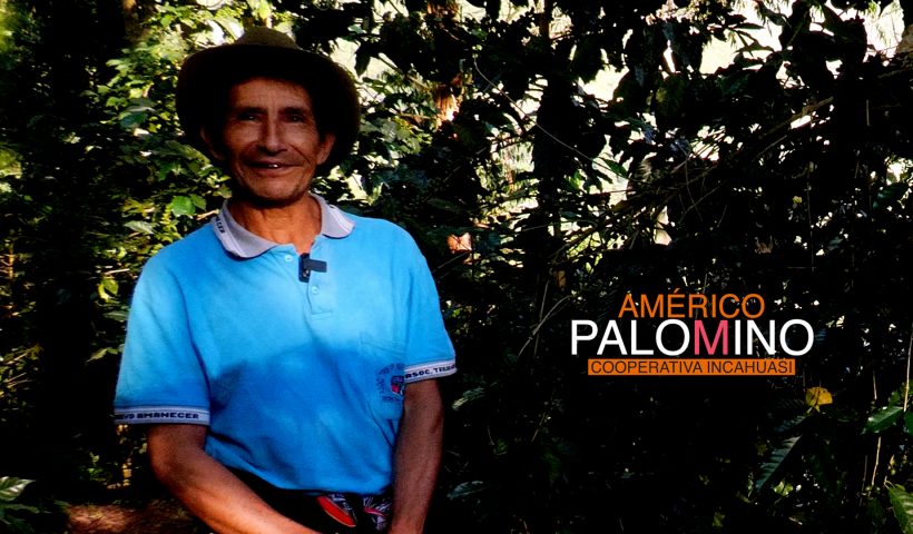 FINCA palmachayuq AMERICO PALOMINO